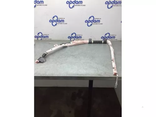 Airbag hemel rechts-8035501