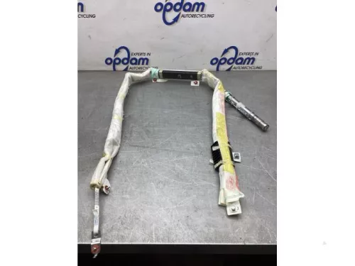 Airbag hemel rechts-8125529