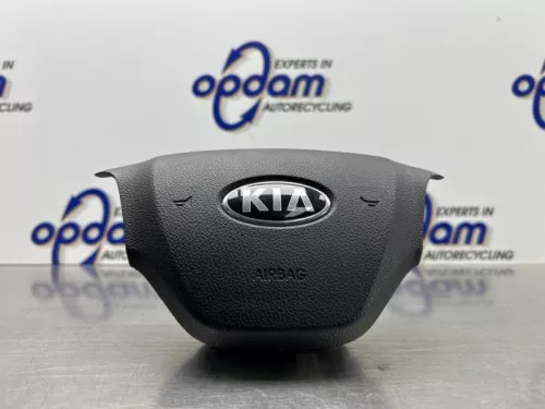 Airbag links (Stuur)-8298840