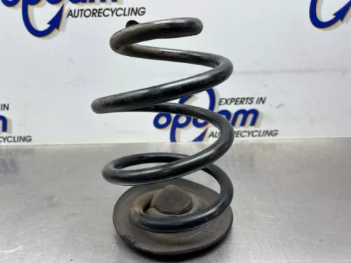 Schroefveer achter-8366399