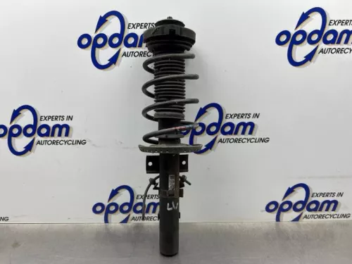 Schokdemperpoot links-voor-8268132