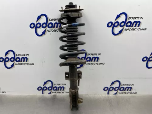 Schokdemperpoot links-voor-8250166