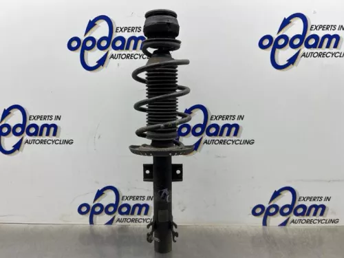Schokdemperpoot rechts-voor-8353482