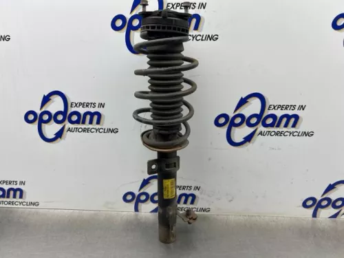 Schokdemperpoot links-voor-8362945