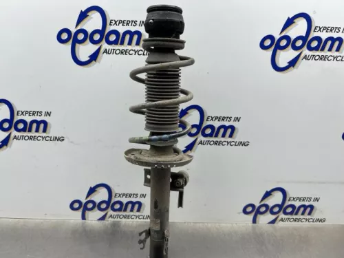 Schokdemperpoot rechts-voor-8305358