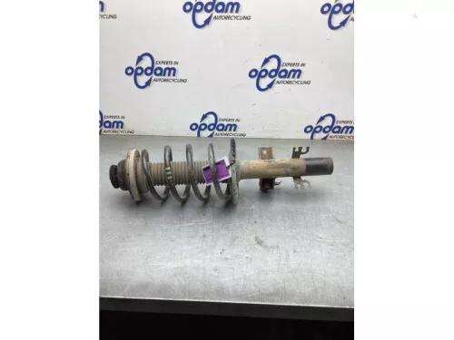 Schokdemperpoot rechts-voor-8238498