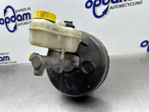 Rembekrachtiger-8268132