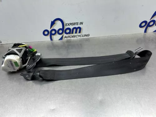 Veiligheidsgordel links-voor-8268132