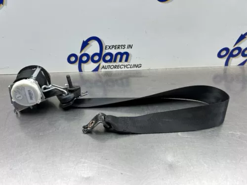 Veiligheidsgordel links-achter-8209422