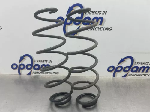 Schroefveer achter-8158960