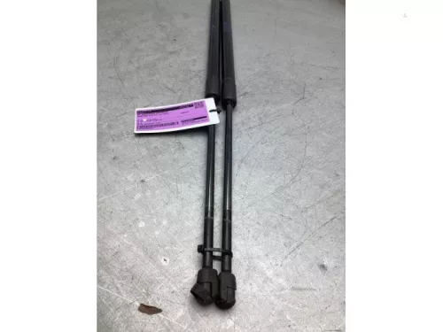 Set Gasdempers Achterklep-8354608
