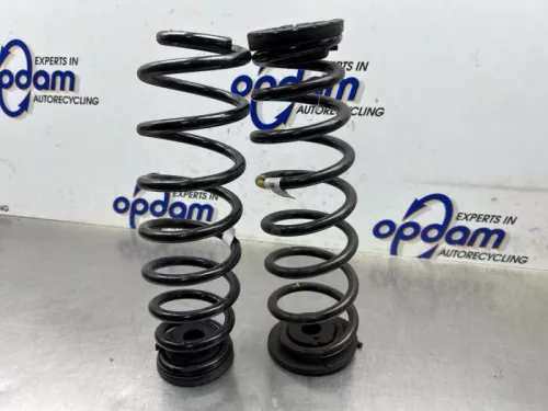 Schroefveer achter-8083751