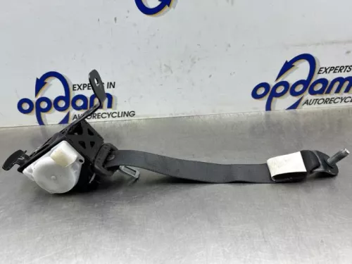 Veiligheidsgordel rechts-achter-8293334