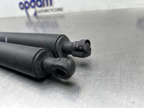 Set Gasdempers Achterklep-8293334