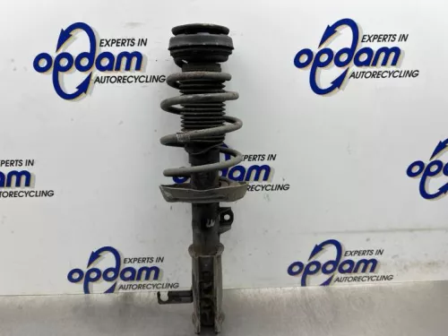 Schokdemperpoot links-voor-8293334