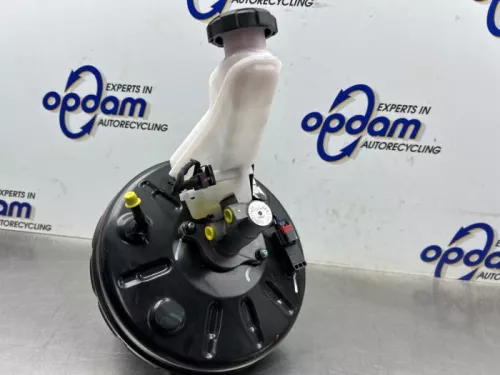 Rembekrachtiger-8083751