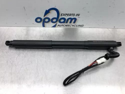 Gasdemper rechts-achter-