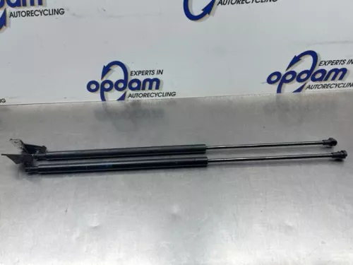 Set Gasdempers Achterklep-8365949