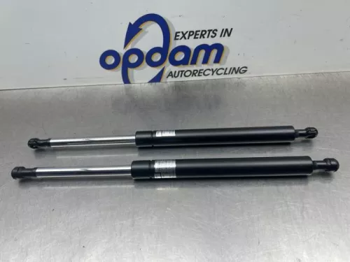 Set Gasdempers Achterklep-