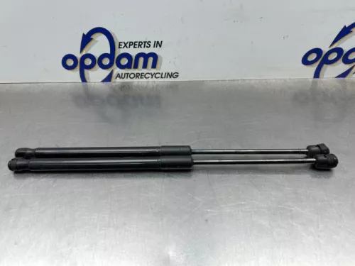 Set Gasdempers Achterklep-8360069