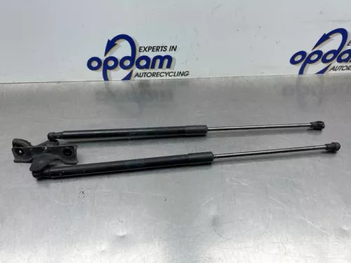 Set Gasdempers Achterklep-8228052