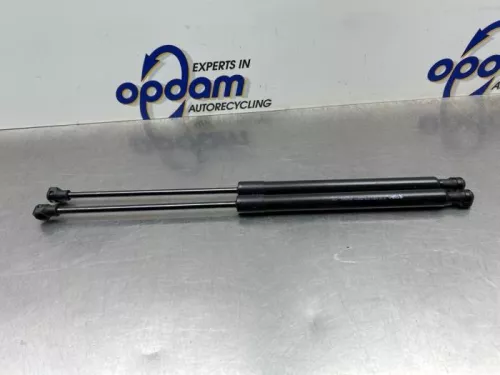 Set Gasdempers Achterklep-8158960