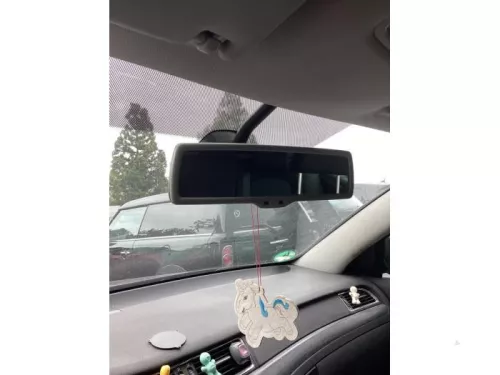 Binnenspiegel-8163873