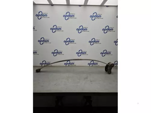 Bladveer achter-8247420