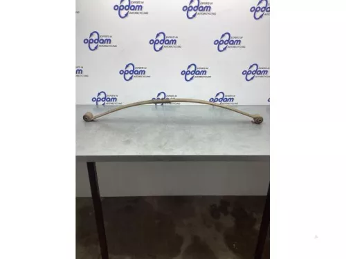 Bladveer achter-7729708