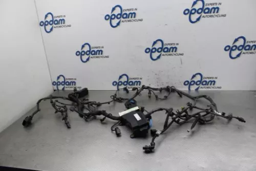 Kabelboom motorruimte-8316996