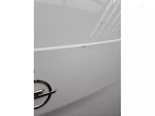 Achterdeur Bus-Bestelauto-8275197