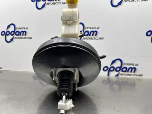 Rembekrachtiger-8356556