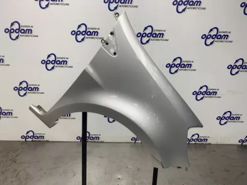 Scherm rechts-voor-8354377