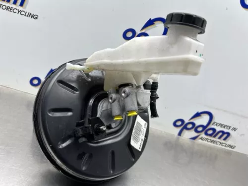 Rembekrachtiger-8158960