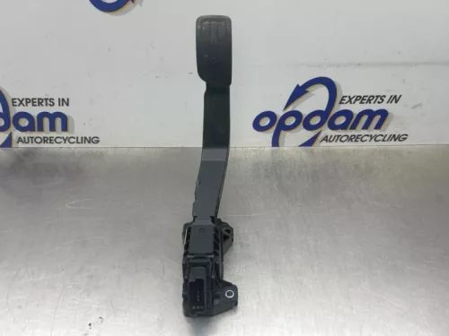 Gaspedaal-8158960