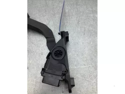 Gaspedaalpositie Sensor-8295067
