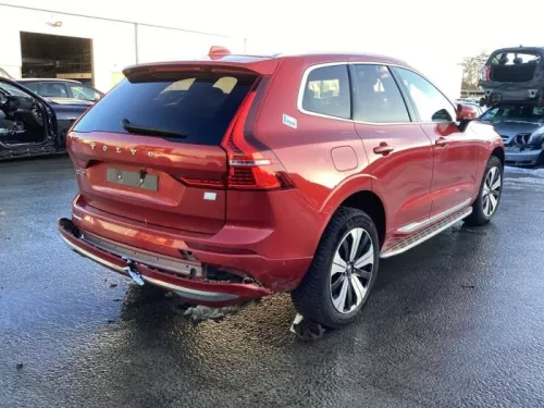 Remklauw (Tang) rechts-achter-8137498