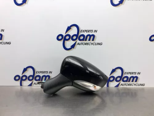 Buitenspiegel links-8197133