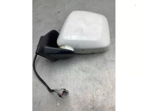 Buitenspiegel links-8068433