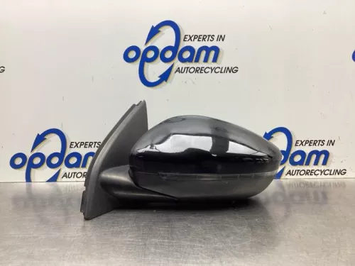 Buitenspiegel links-8063408