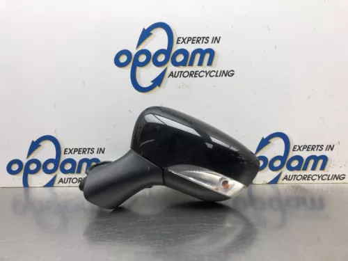 Buitenspiegel links-8152307