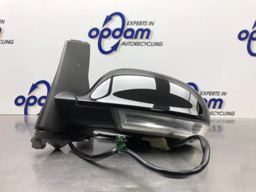 Buitenspiegel links-8268999