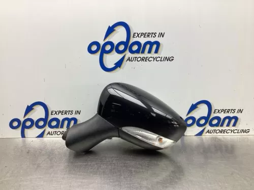 Buitenspiegel links-7930369