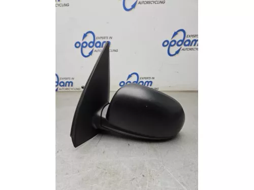 Buitenspiegel links-8265554