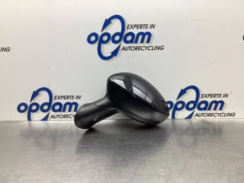 Buitenspiegel links-8095625