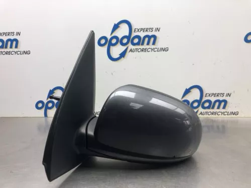 Buitenspiegel links-8137917