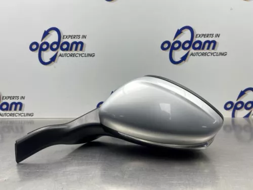 Buitenspiegel links-8254166