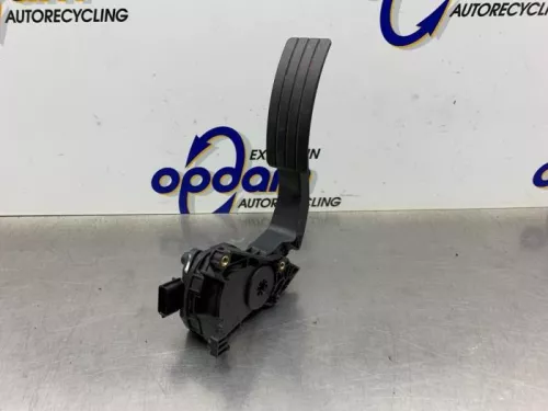 Gaspedaal-8304828
