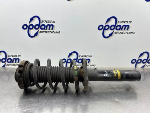 Schokdemperpoot rechts-voor-8339781