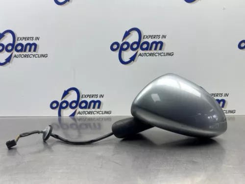 Buitenspiegel links-8284591